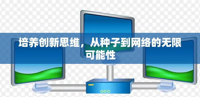 培养创新思维,从种子到网络的无限可能性 培养创新思维,从种子到网络的无限可能性
