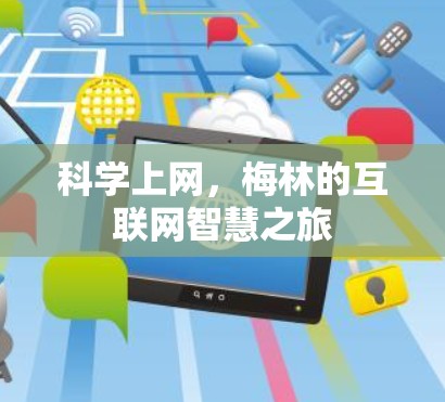 科学上网，梅林的互联网智慧之旅