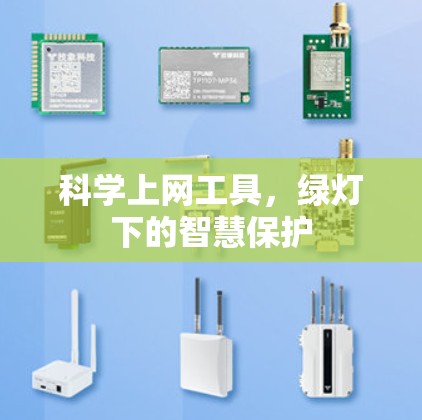 科学上网工具，绿灯下的智慧保护