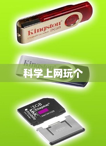 科学上网玩个