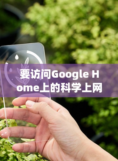 要访问Google Home上的科学上网功能，您可以按照以下步骤操作