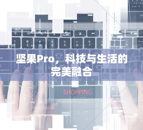 坚果Pro，科技与生活的完美融合
