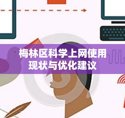 梅林区科学上网使用现状与优化建议