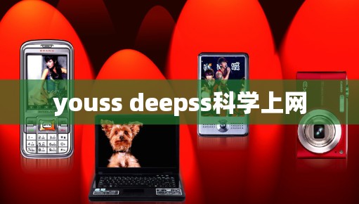 youss deepss科学上网