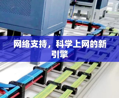 网络支持，科学上网的新引擎