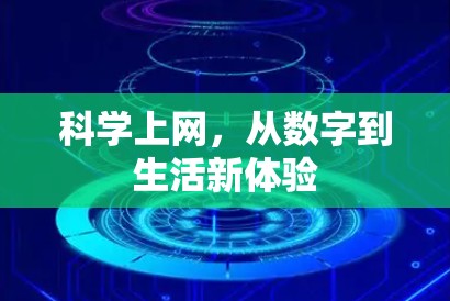 科学上网，从数字到生活新体验