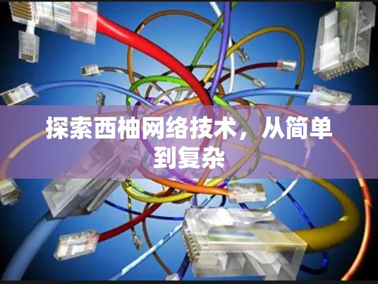 探索西柚网络技术，从简单到复杂