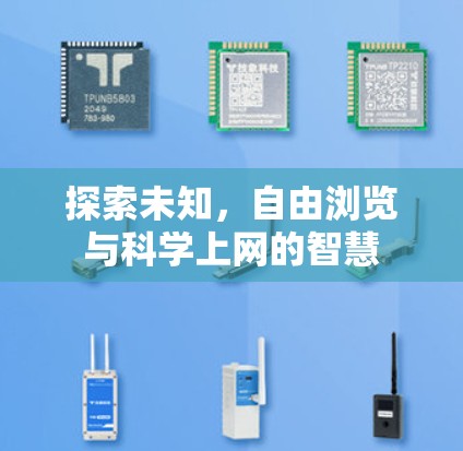 探索未知，自由浏览与科学上网的智慧