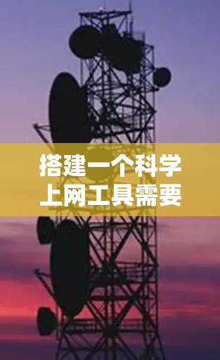搭建一个科学上网工具需要综合考虑多个方面，从平台选择到个性化功能，逐步完善工具以满足用户的高效需求。以下是详细的步骤指南