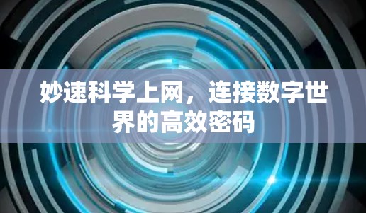 妙速科学上网，连接数字世界的高效密码