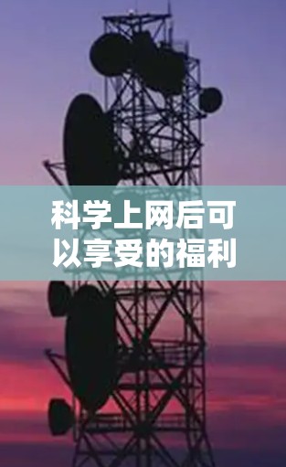 科学上网后可以享受的福利如下