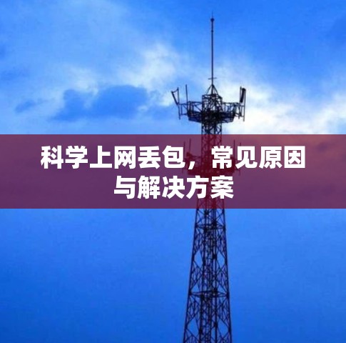 科学上网丢包，常见原因与解决方案